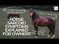 Horse Sarcoid Symptoms Explained for Owners
