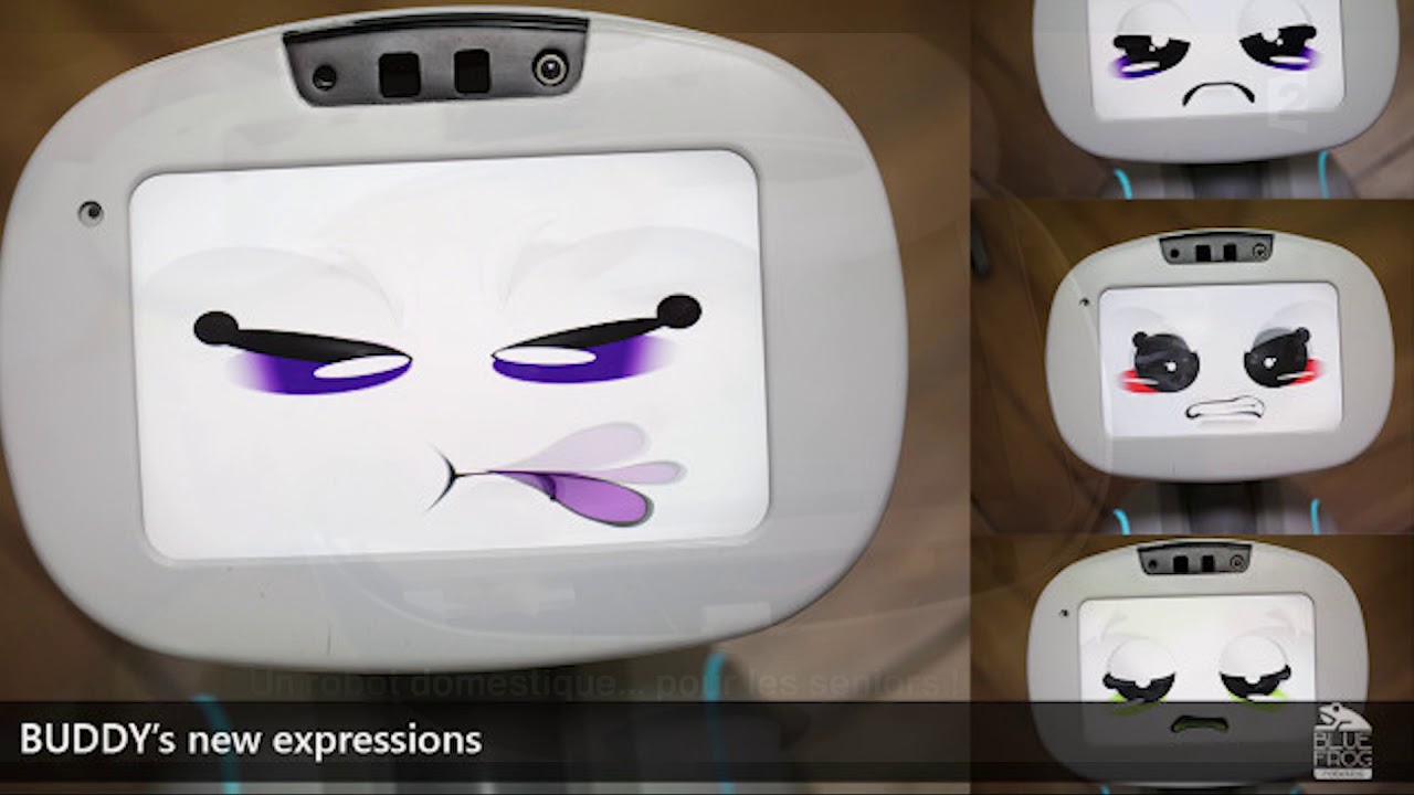 CES 2017 Buddy interview