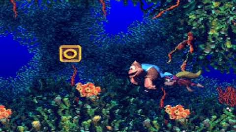 Donkey Kong Country 3 Dixie Kong