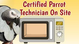 Einstein Supervises Microwave Repairs 🔧🦜