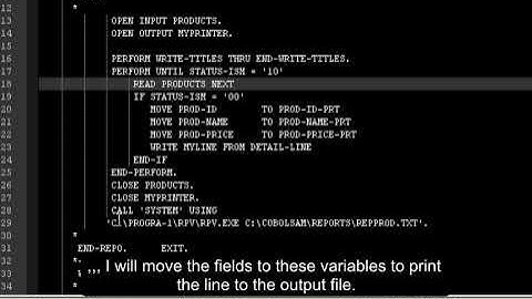 Reporting from COBOL