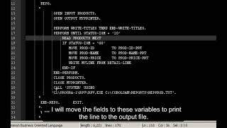 Reporting from COBOL
