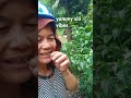 sili@tetetaganahan795