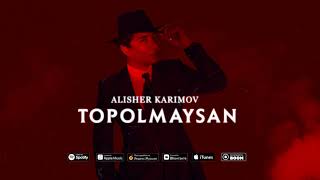 ALISHER KARIMOV - TOPOLMAYSAN