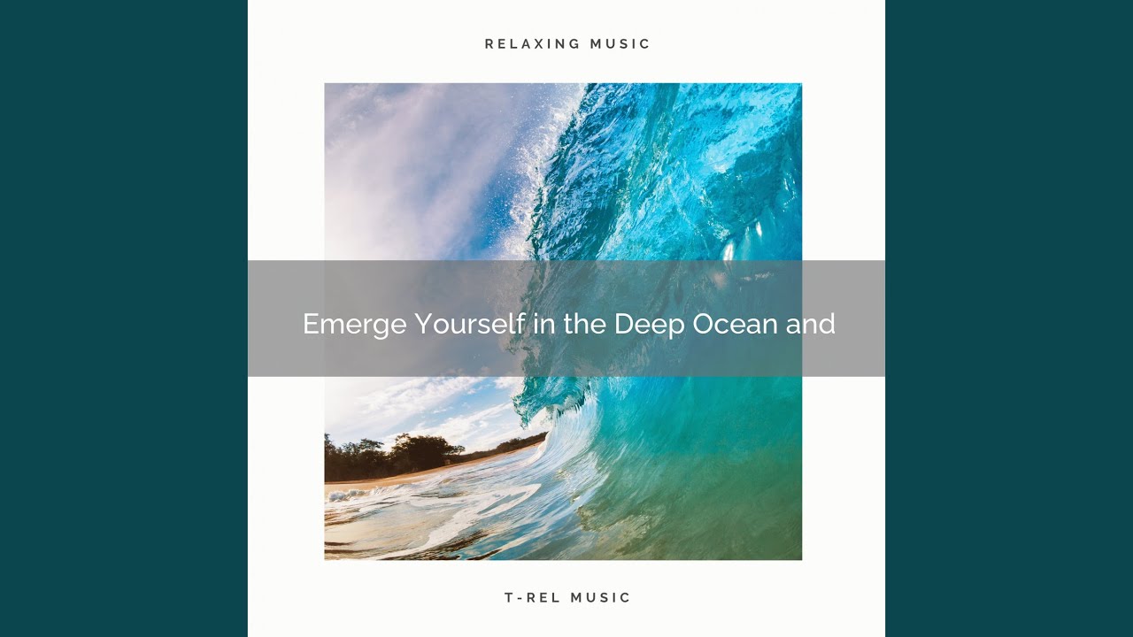 Into the Ocean and Relax with Bird Tweets