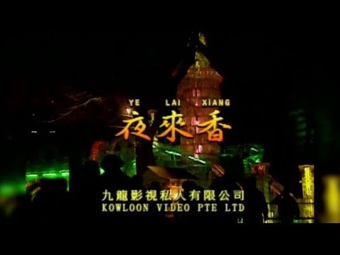夜来香 I  国語  I  流行金曲  I  伴奏  I   KTV I KARAOKE 版