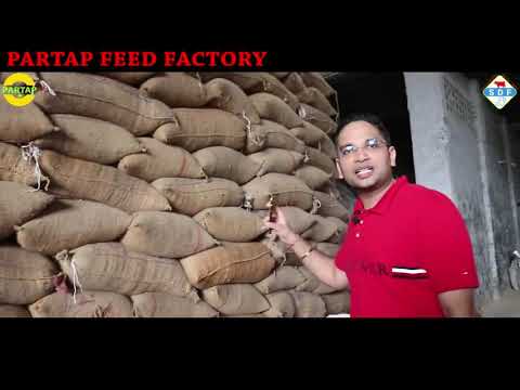Partap Feed Factory Premium Quality Feed Best cattle feed Contact for cattle feed dealership