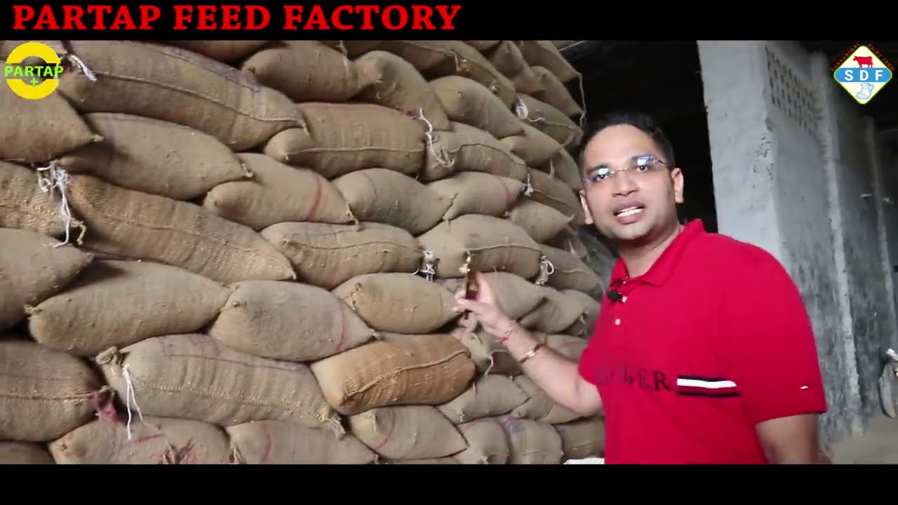Partap Feed Factory, Premium Quality Feed, Best cattle feed ,Contact