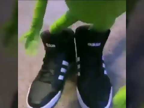 funny-kermit-the-frog-moment's!