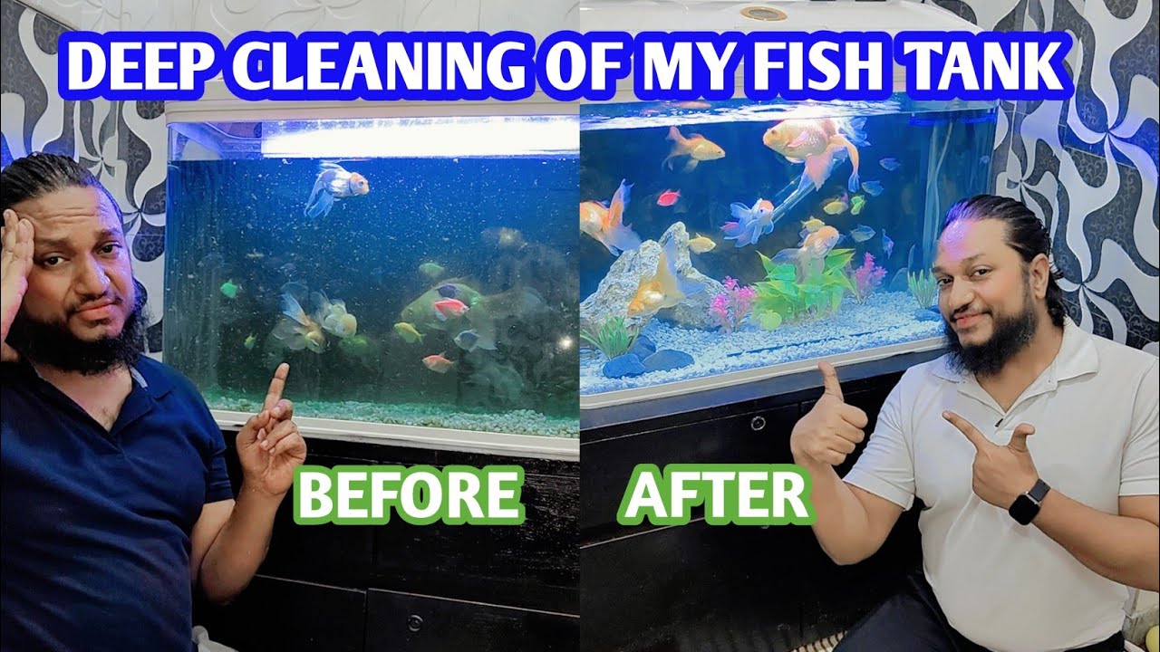 Vlog64, How I deep clean my fish tank !!#youtubefeed #vlogviral #love #fish #cleaning 