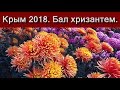 Крым 2018. Бал хризантем