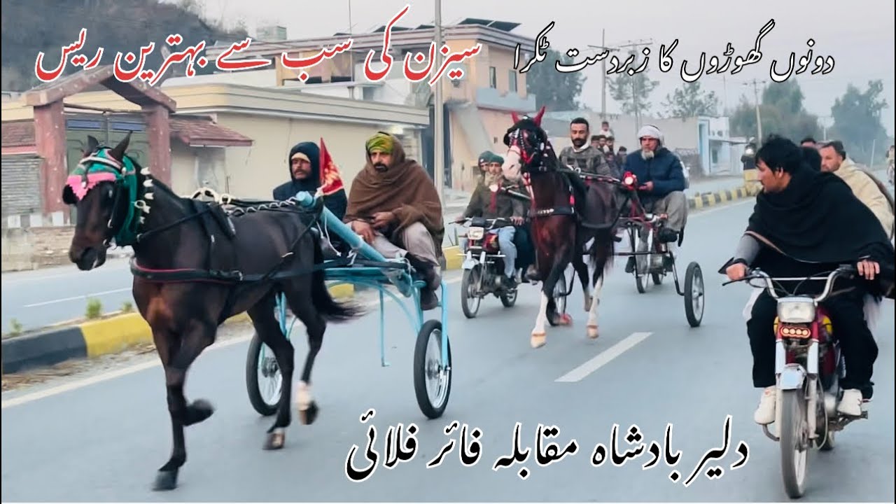 Dalair Badshah Vs Firefly Horse Biggest Full Race