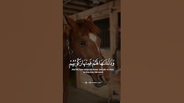 من سورة يس - حالات واتس