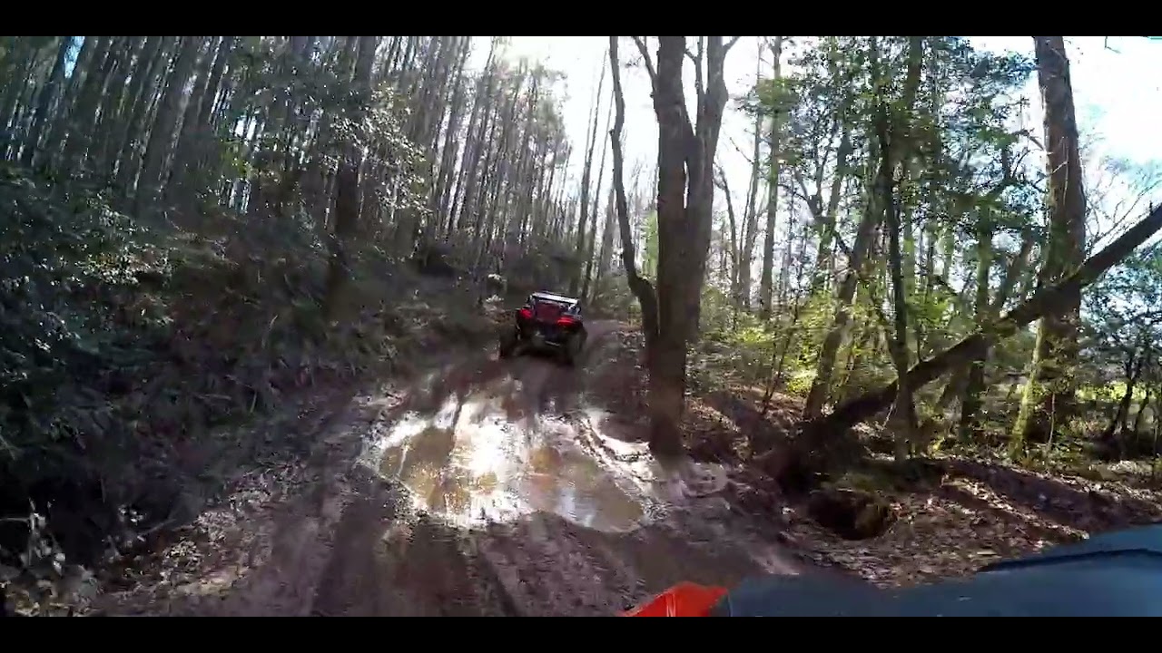 Iron Mountain Trails - Logs and Puddles