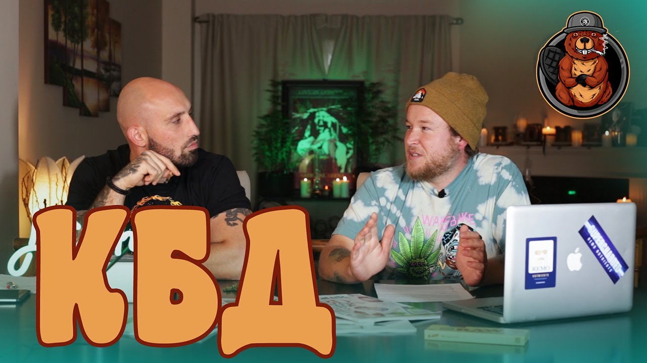 Все о КБД, важнейшем компоненте МЕДИЦИНСКОЙ МАРИХУАНЫ - YouTube