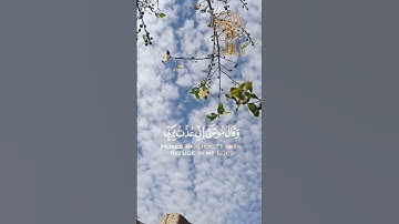 القرآن الكريم  أستمع لقوله تعالىٰ (وقال فرعون ذروني أقتل موسى)