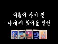 [타로] 여름이 가기 전 나에게 찾아올 인연💕특징