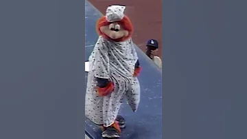 A Mascot Ejected Justice For Youppi 