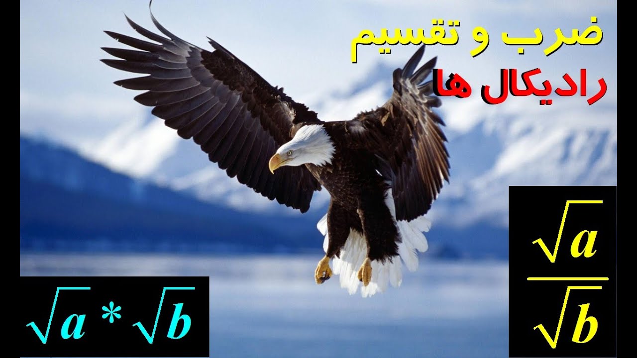 ضرب و تقسیم رادیکال ها در هشت دقیقه
