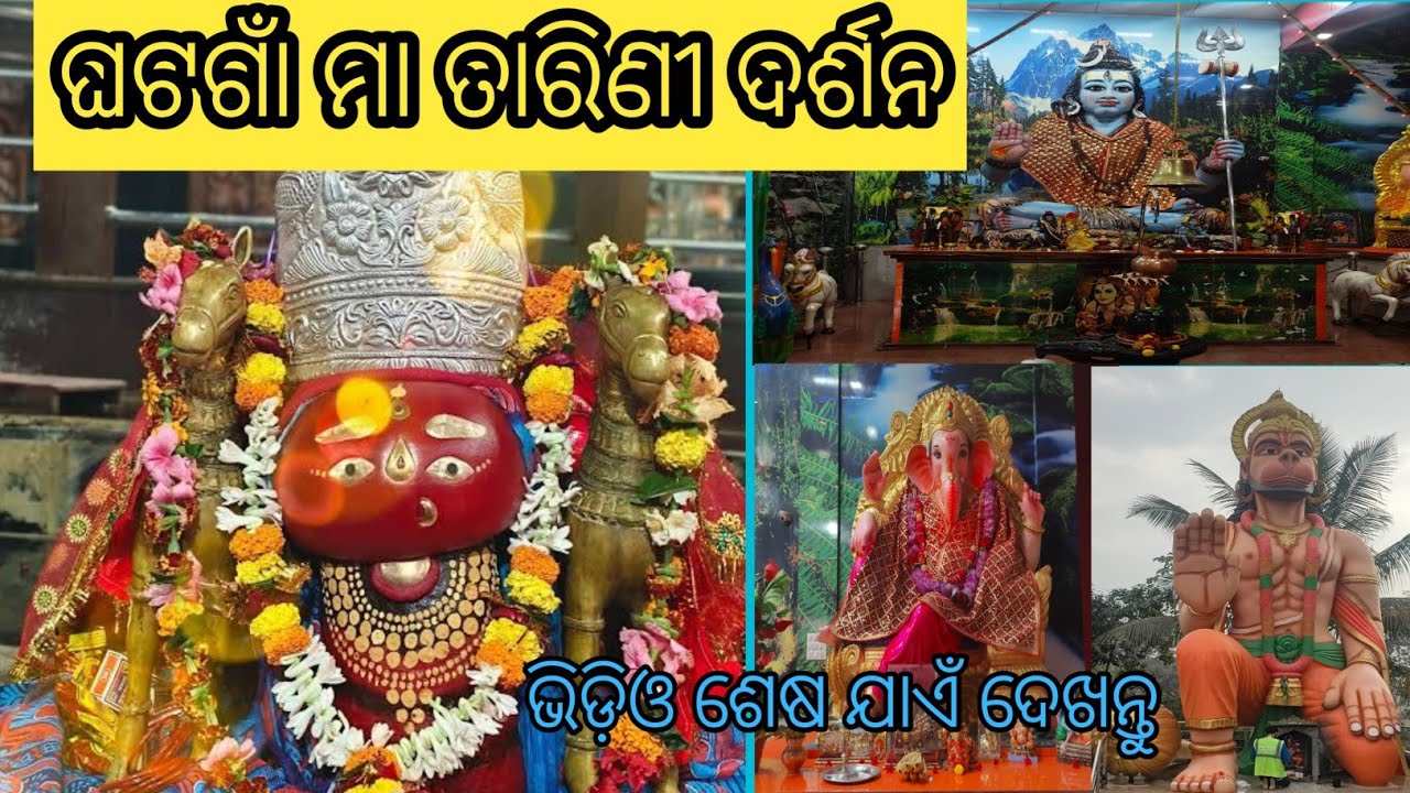 Maa Tarini Darshan || ଘଟଗାଁ ମା ତାରିଣୀ ଦର୍ଶନ || Odisha Famous Coconut Queen Temple ||