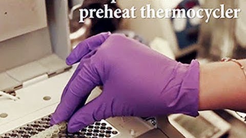 5 Tips for Setting Up Your PCR