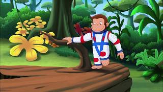 Curious George 3: Back to the Jungle - Jungle Music 