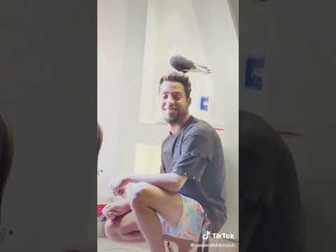 هفضل بطولي عمرو سلامه