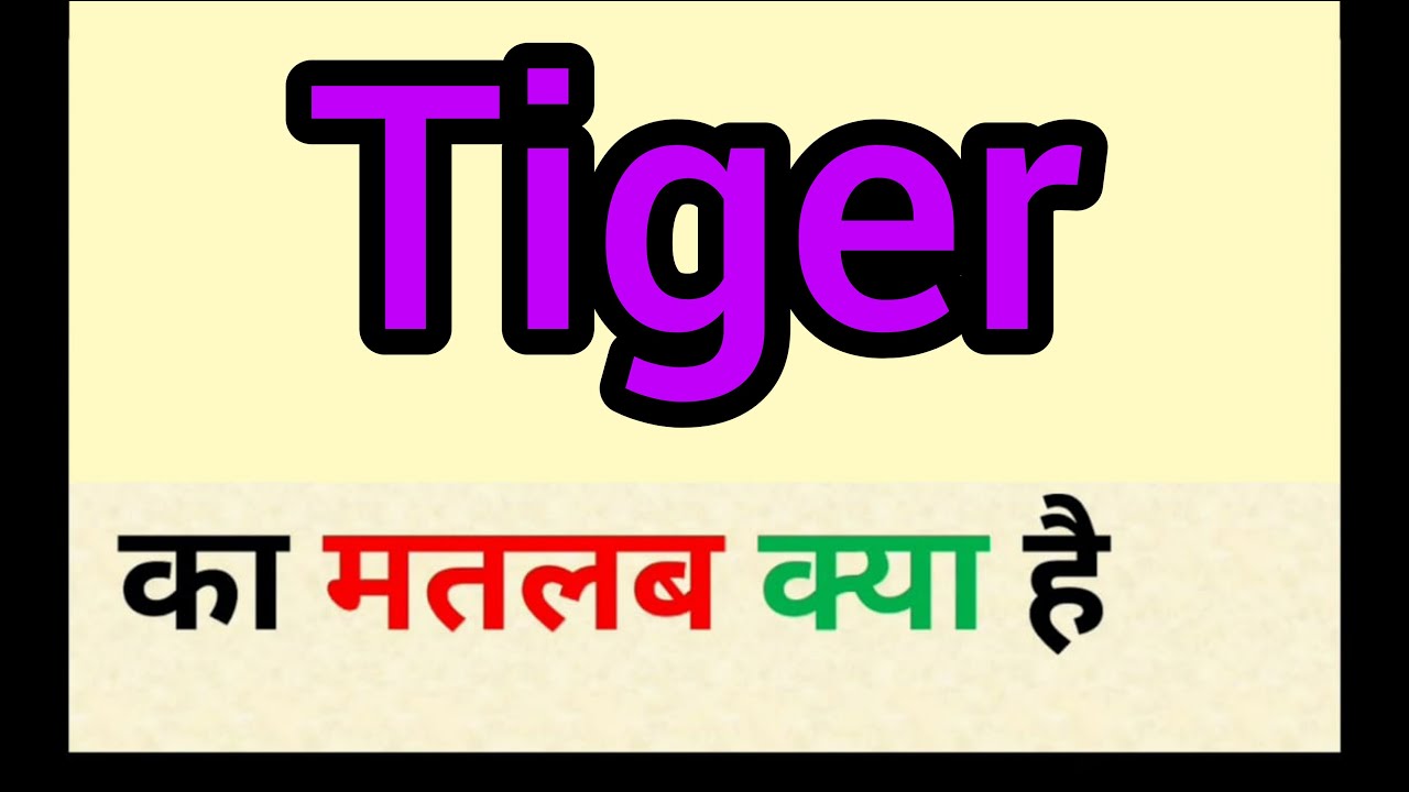 Tiger Meaning In Hindi Tiger Ka Matlab Kya Hota Hai Word Meaning tiger-meaning-in-hindi-tiger-ka-matlab-kya-hota-hai-word-meaning
