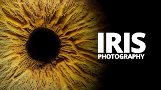 How to photograph your own Iris.