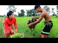 woman cut Salad to Chang with bird -Fried bird with Salad for dog food -cooking in forest HD