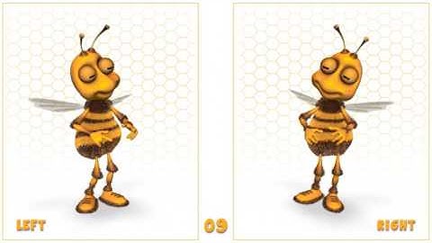 Ms. Bee Character - Animation Kit | After Effects (AE) Template VideoHive | 19659971