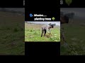 planting trees 🌳 #shorts #viral #youtubeshorts #trending #ytshorts #comedy #funny #viralvideo #fyp