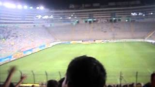 Video thumbnail of "CANTARE HASTA YO VERTE CAMPEONAR"