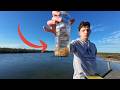 Pumping Yabbies and Fishing with Live Bait (Unexpected Catch)