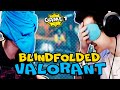 C9 Blue Were Challenged To 1v1 In VALORANT BLINDFOLDED... ft. TenZ, Shinobi, Relyks, mitch