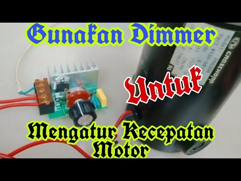 Mengenal Fungsi Dan