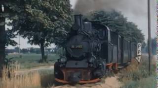 Two Foot Narrow Gauge in East Germany by CamdenMSS 8,924 views 4 years ago 3 minutes