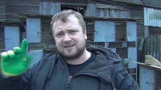 видео: Кролики возвращаются! 1000км за кроликами! Моя кроликоферма! Какие породы буду разводить! Мои клетки картинка: Кролики возвращаются! 1000км за кроликами! Моя кроликоферма! Какие породы буду разводить! Мои клетки