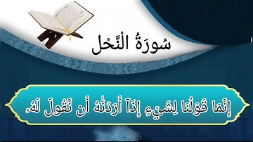 سورة النحل من الأية رقم (35-50) بصوت القارئ سعد الغامدي