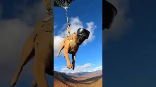 USA military dogs parachute out from airplanes tuff hard training #usa #dogs #dog #shortsfeed