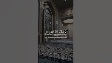 ياسر الدوسري ||سورة التكاثر#quran #شاشة_سوداء #قران #شاشة_سوداء_قران_كريم #ياسر_الدوسري #راحة_نفسية