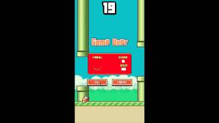 Fabby bird -- Official || S&TGames screenshot 5
