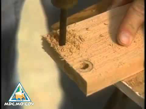 diy bird feeder ports