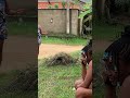 BTS//my friend sister like me//#viral #usa #funny #comedy