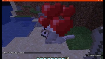 Enchanted Wolves 1.12.2, 1.14.4 & 1.15.2 Forge Mod Overview Part 1 - Collars, Trauma & Toughness