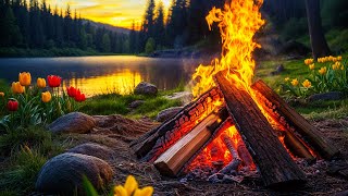 Cozy Springtime Campfire. Lakeside Crackling Fire with Relaxing Nature Sounds for Sleep 🔥🌳🐦