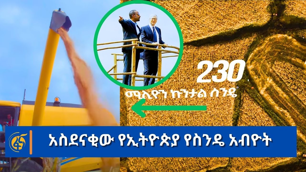 አስደናቂው የኢትዮጵያ የስንዴ አብዮት
