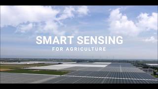 Meer Inzicht In Je Teelt? Verzamel Data Met Sensoren