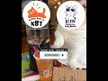 Kasian kagak ada yang beli || Kucing Lucu Paling Ngakak Part 1912 || #funny #shorts #fyp