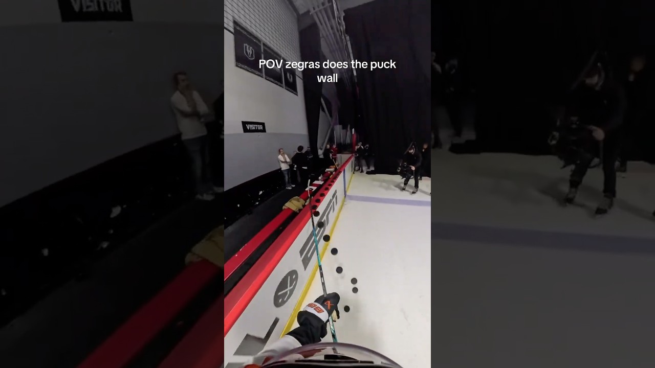 Trevor zegras does the puck wall 🏒